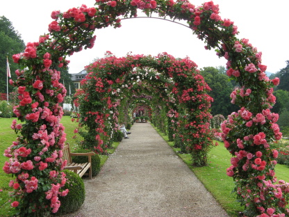 Beutig-Rosengarten Baden-Baden